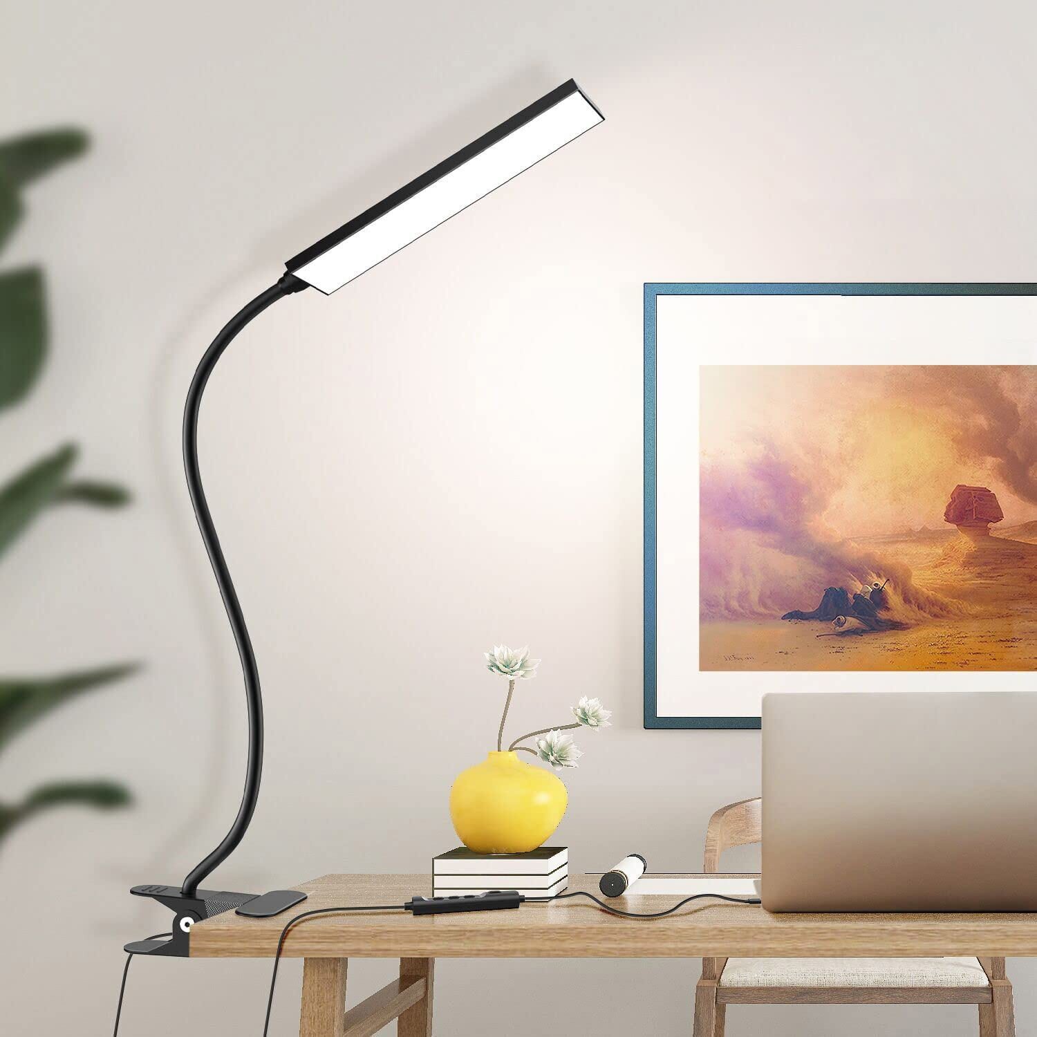 LED Desk Lamp Gooseneck Adjustable Lamp with Clamp Eye-Caring Reading Desk Light gallery
