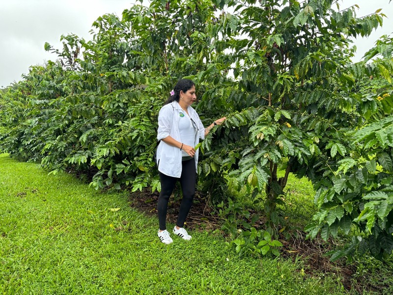 SUMATRA ESPRESSO DARK ROASTED COFFEE BEANS 5 POUNDS IN 1 POUND BAGS gallery
