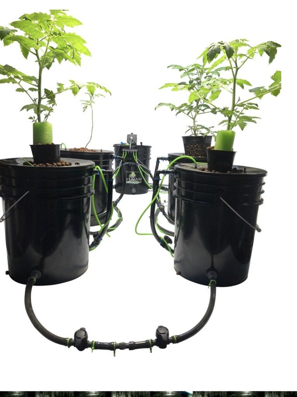 Versatile Hydroponics Ltd. top fed DWC System. Quality Made By Growers 4 Growers gallery