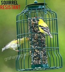 PETITE SQUIRREL RESISTANT CAGED BIRD SEED FEEDER BE161 BACKYARD ESSENTIALS