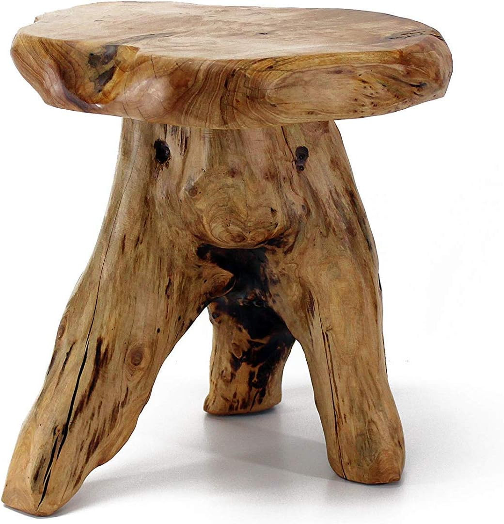 Tree Stump Stool Live Edge, Natural Edge Side Table, Plant Stand, Nightstand, Mu gallery