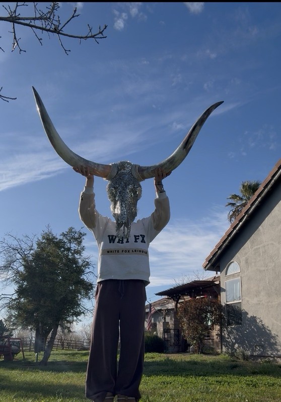 Texas Longhorn gallery