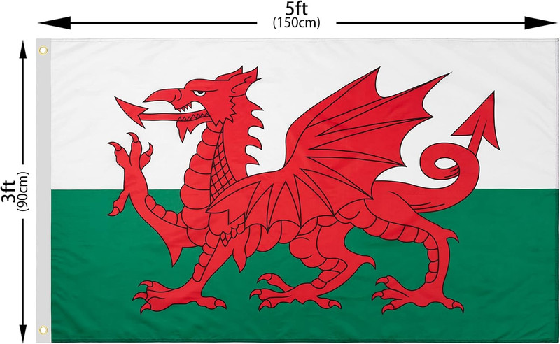 DANF Wales Flag 3X5 Ft Thick Polyester, Fade Resistant, Brass Grommets, Canvas H gallery