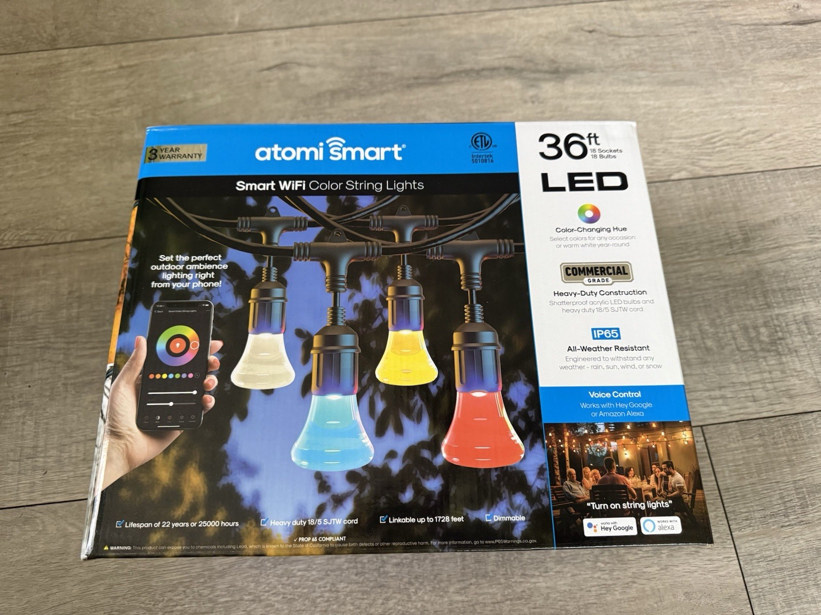 Atomi Smart Wi-Fi Color Outdoor String Lights - App controlled - 36ft gallery