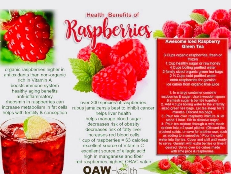 50+PCS Red Raspberry {Rubus idaeus} seeds NON-GMO Free Shipping! gallery