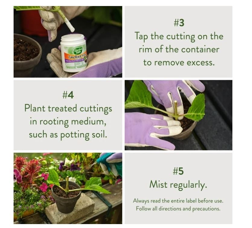 2 Pack Garden Safe Takeroot Rooting Hormone, New Plants Growth Powder - 2 Oz gallery