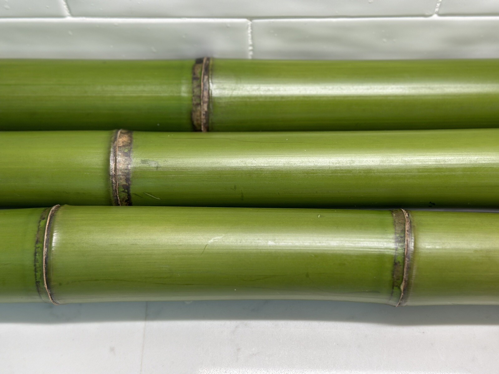 1” Fresh Cut Natural Bamboo For Decor (You Choose Length) 1ft - 8ft gallery