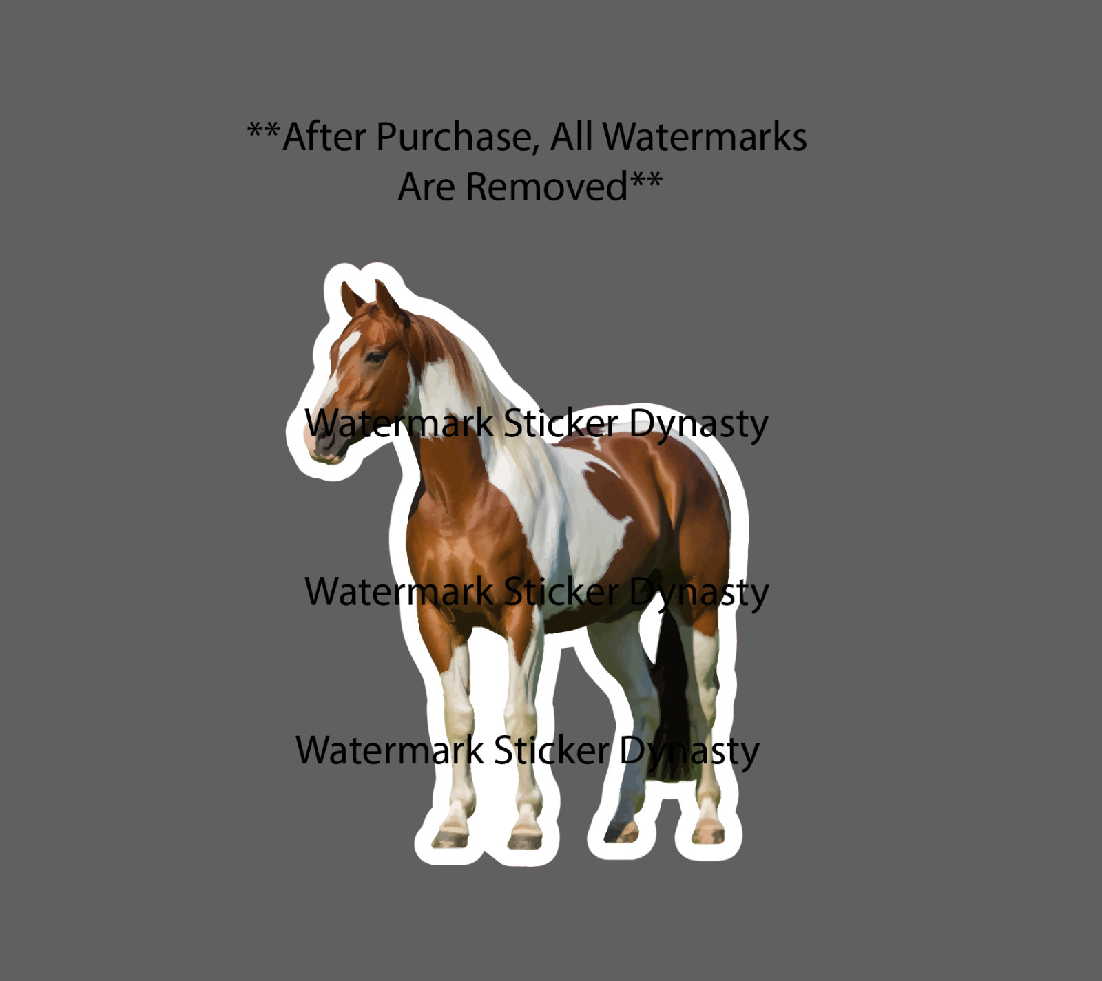 American Paint Horse Sticker Waterproof Decal Farm Countryside Gift NEW gallery