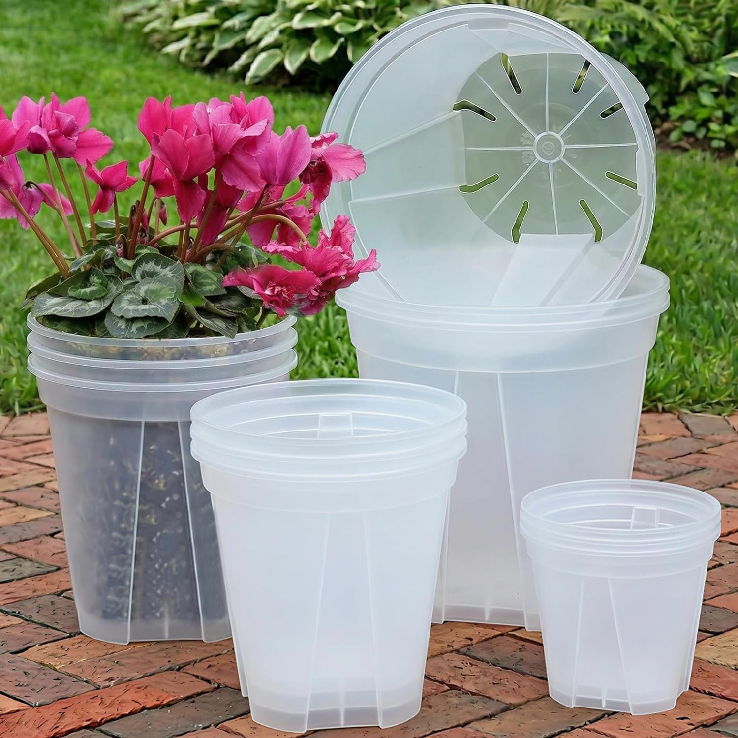 6/8/10/12 Inch Large Clear Nursery Deep Pots with Drainage Hole 12 Pack, Deep Pl gallery