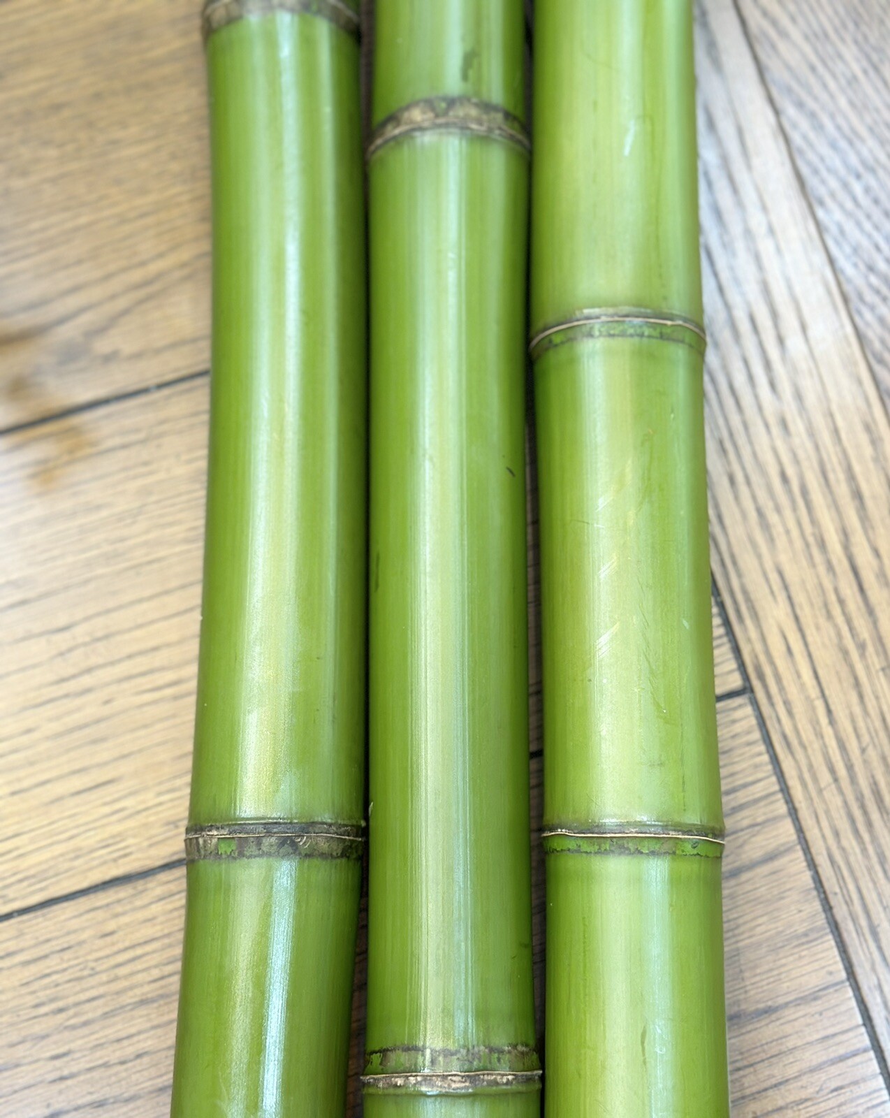 1.5” Fresh Cut Natural Bamboo For Decor (You Choose Length) 1ft - 8ft gallery