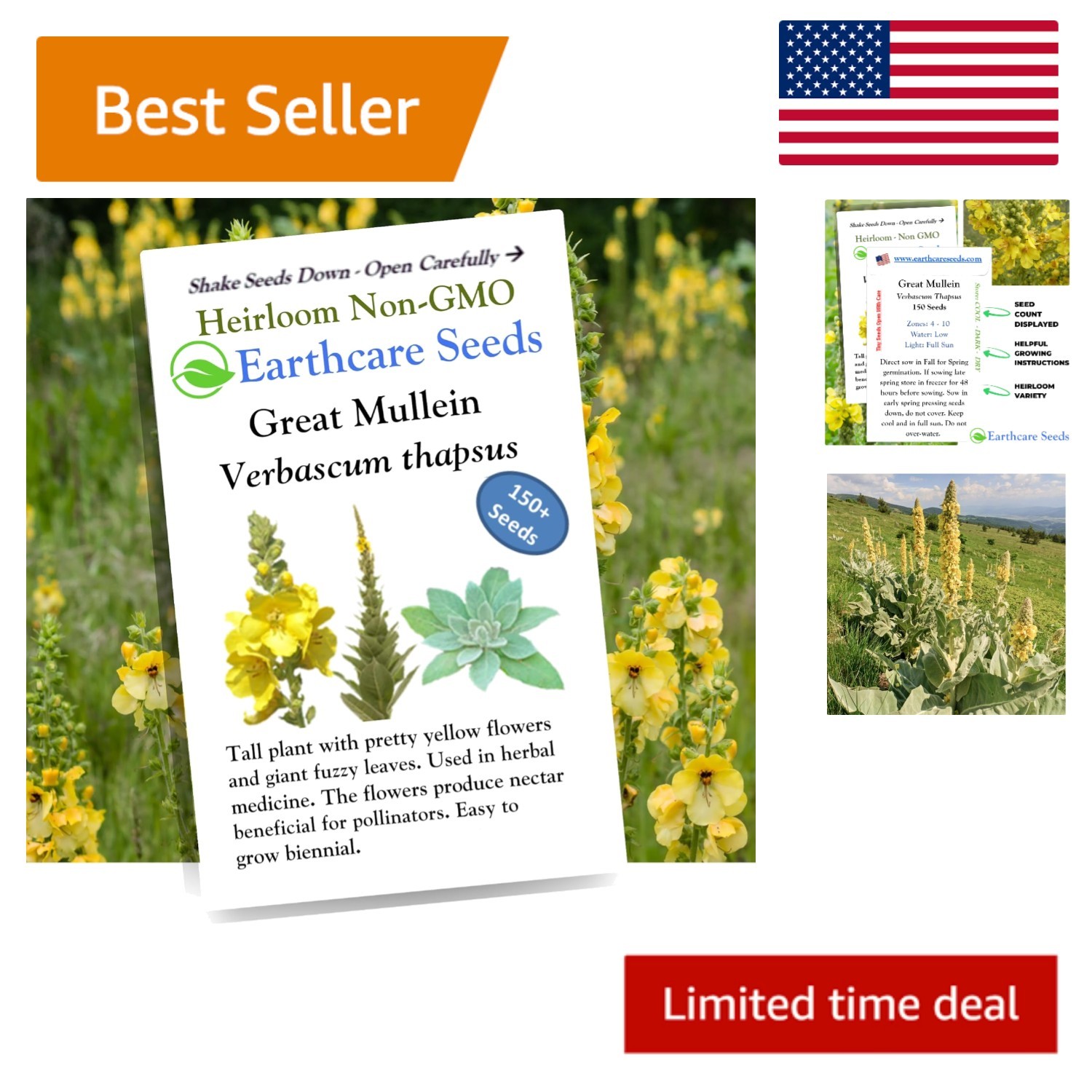 Pollinator-Friendly Heirloom Mullein Seeds - 150 Non-GMO for Your Outdoor Garden gallery
