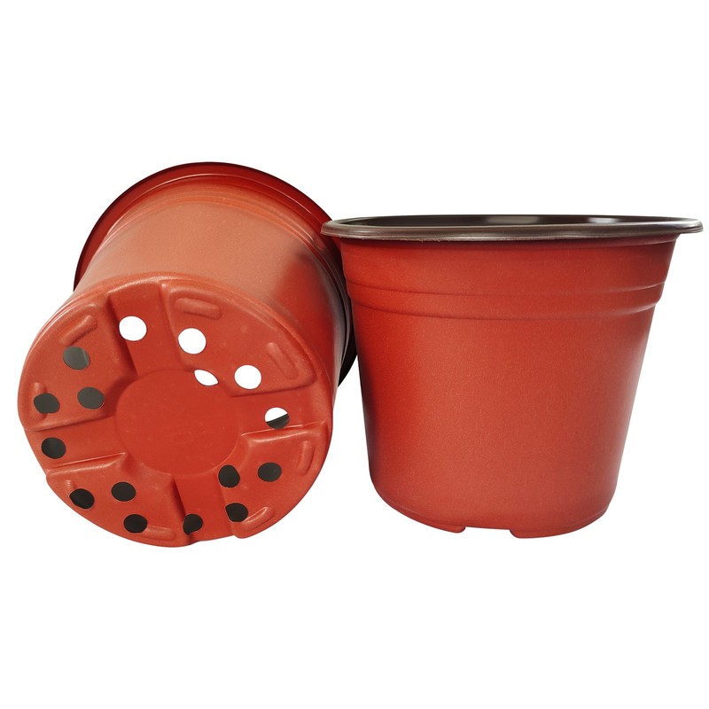 100 Pack 8 Inch Multi-Purpose Plastic Pots for Flowers and Nursery Plants gallery