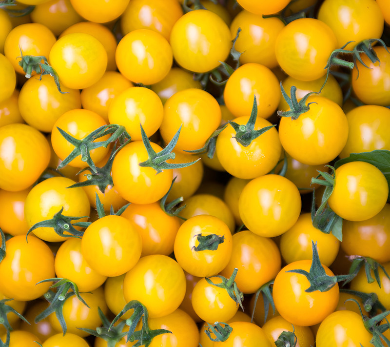 100 Heirloom Large Yellow Cherry Tomato Seeds - Egg Yolk - 1oz Sweet High Yields gallery