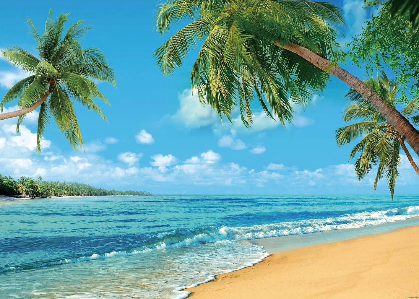 RUINI Polyester Tropical Beach Photography Backdrop Summer Palm 7x5FT, blue gallery