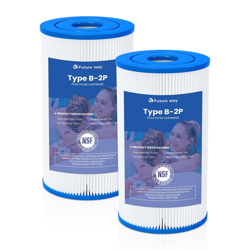 2 Pack Type B Pool Filter Cartridge Replacement for 29005E & 2500 GPH Pump, F...