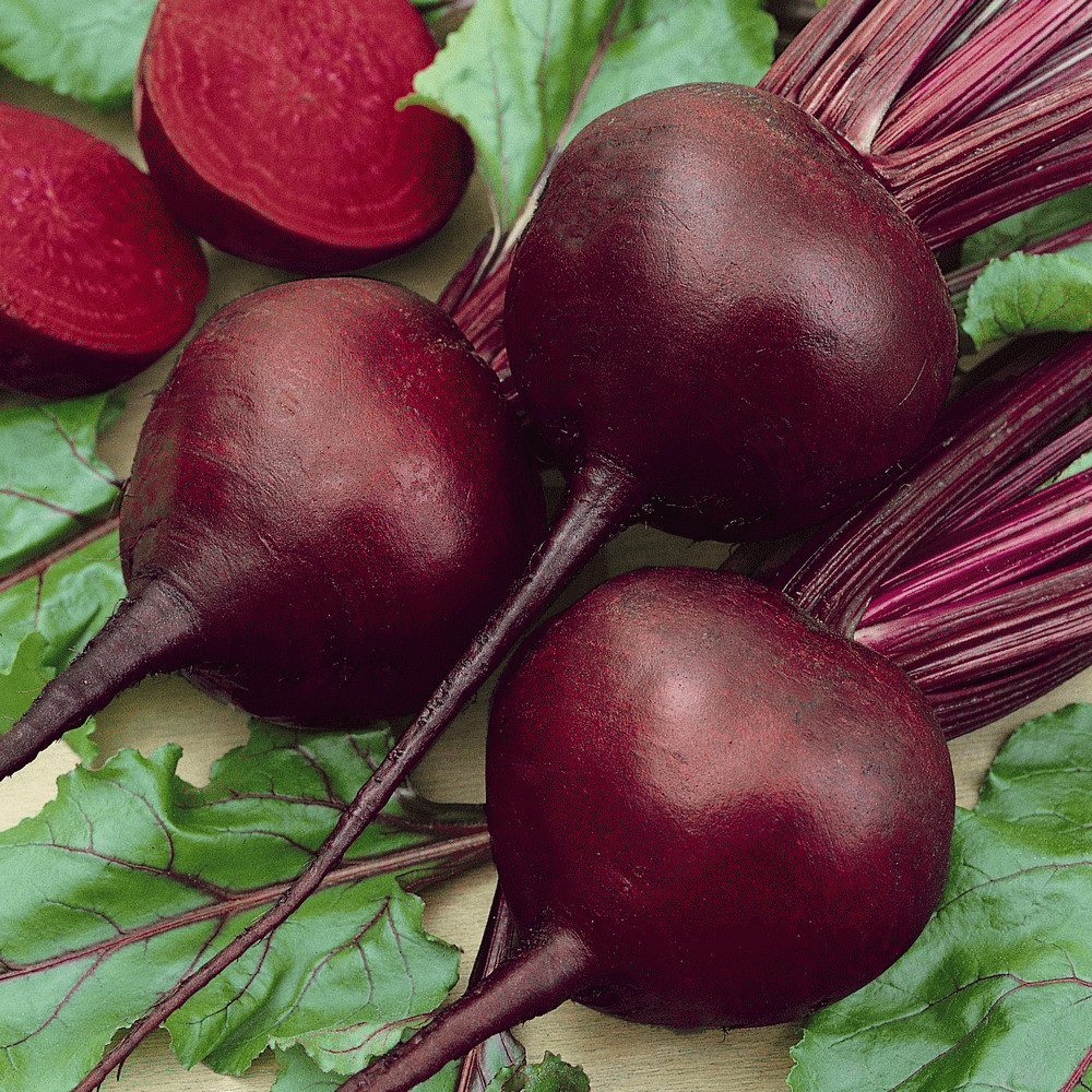200+ DETROIT DARK RED BEET SEEDSNO TRACKING ON ORDERS UNDER $16 gallery