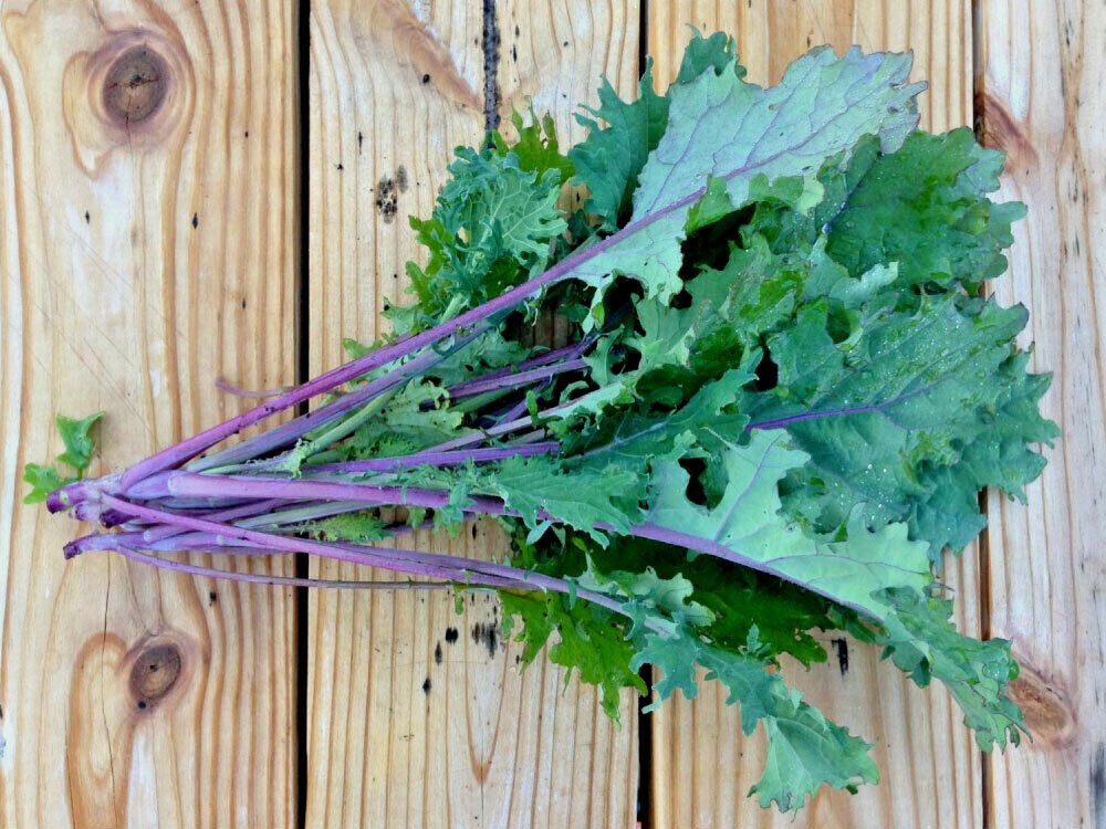 RED RUSSIAN KALE NON-GMO HEIRLOOM great for juicing and sauté! VERY NUTRITIOUS!! gallery