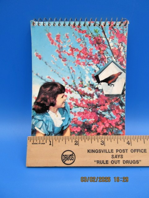 Vintage Spiral Bound Notebook with Nostalgic Scene of Young Girl Blue Dress gallery