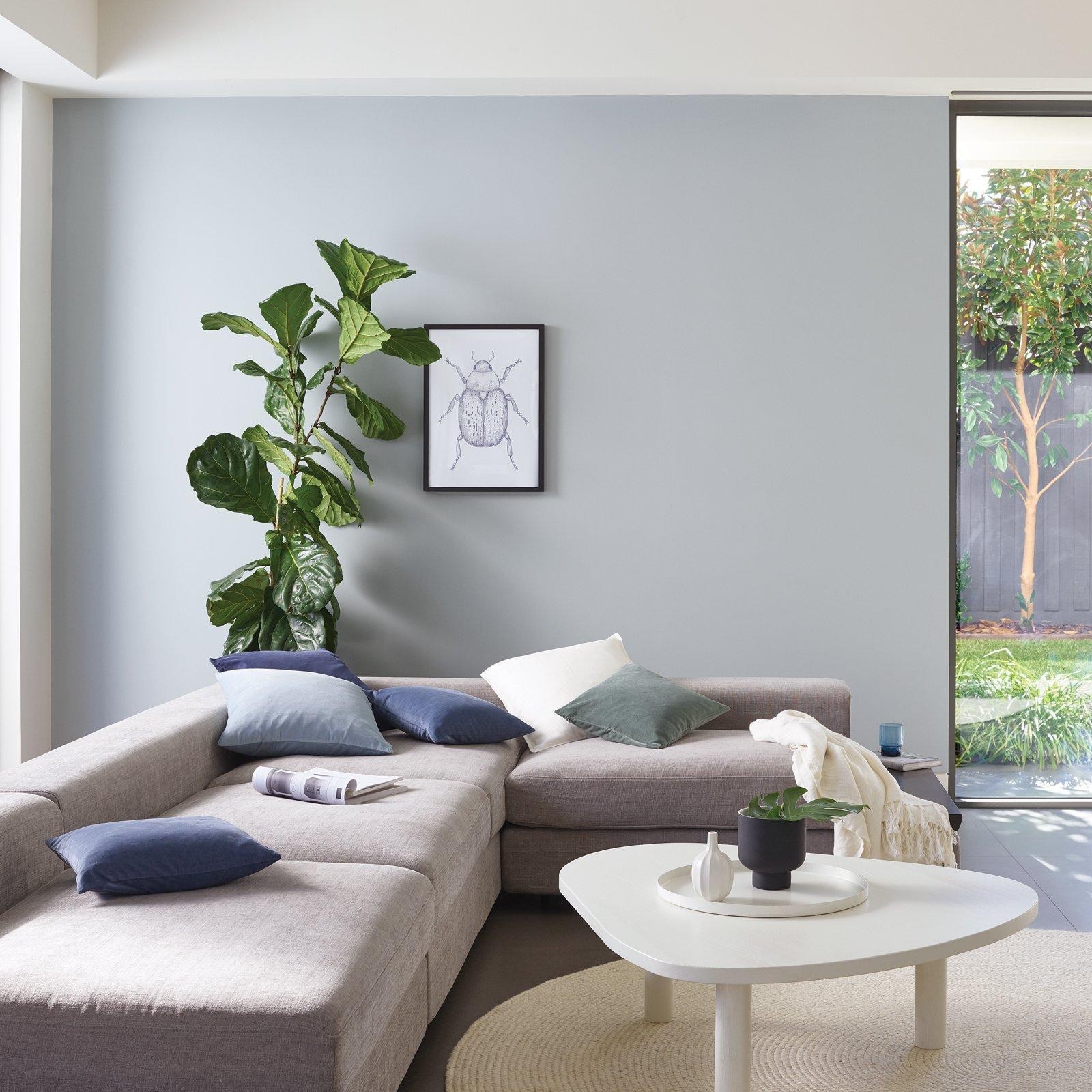 Porter's 2L Newport Blue Eggshell Finish Broadwall Washable Paint gallery