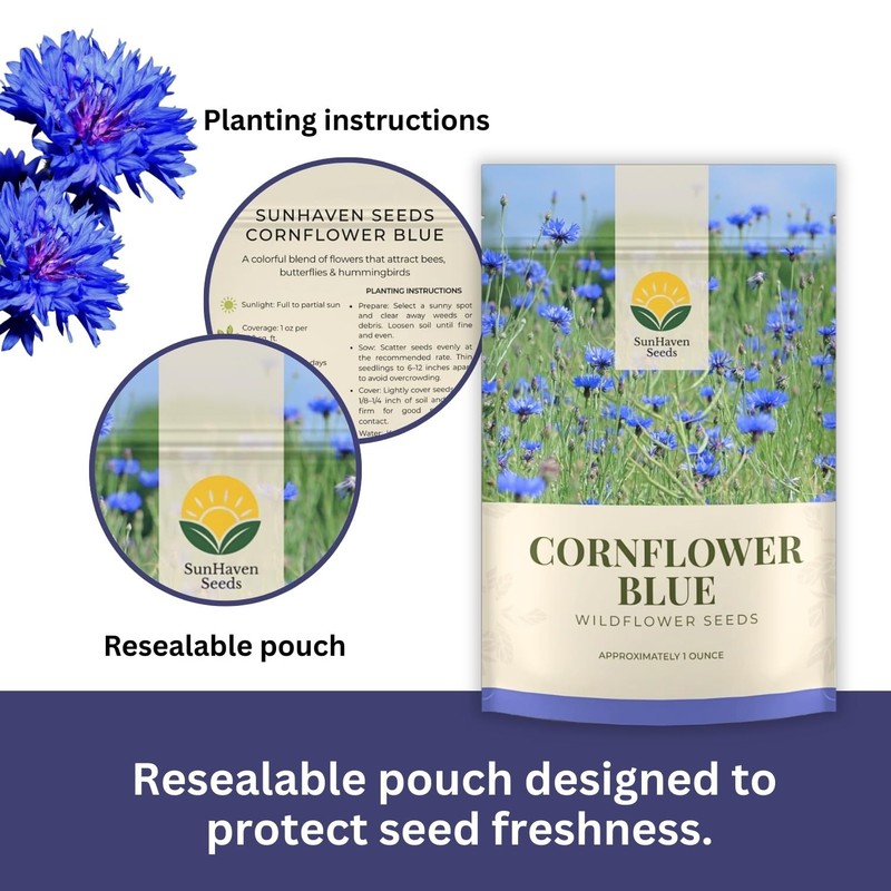 Seeds Bachelor Button – Blue Cornflower – 5,500+ – gallery