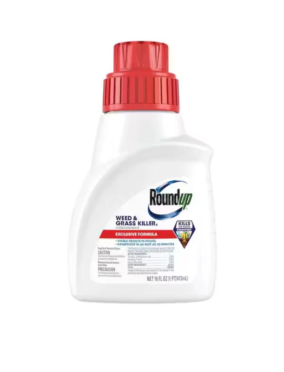 Roundup Concentrate 16 Fl Oz gallery