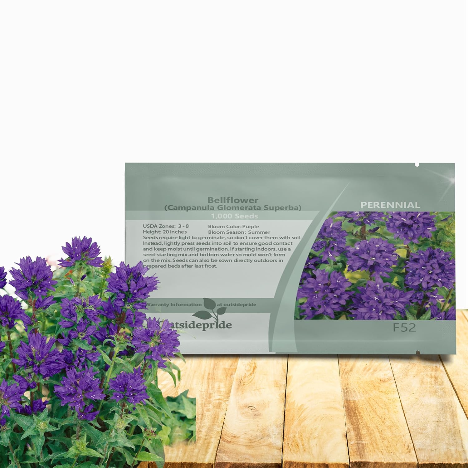 Superba Bellflower Seeds for Planting - 1000 Pcs Perennial Mat-Forming Flower... gallery