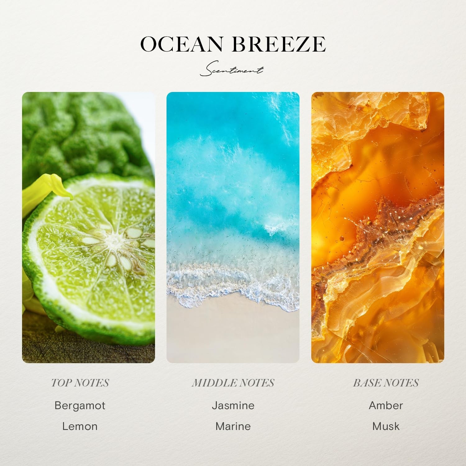 Scentiment Diffuser Oil - Ocean Breeze | Inspired by Five Star Hote... Fast Ship gallery