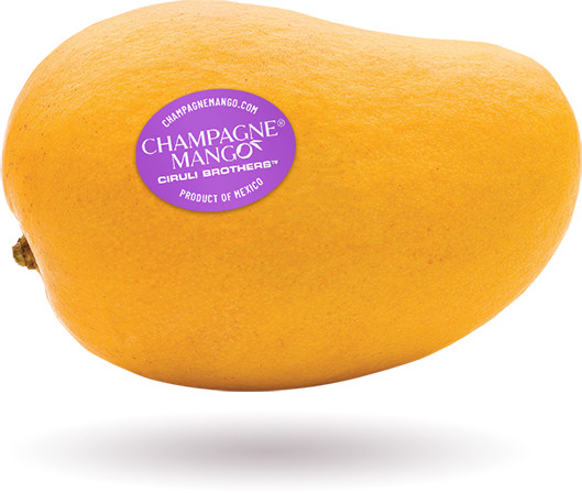 Fresh Champagne Mango Fruit - Mangoes Fruits - Choose 1, 2, 3, 4, 5 lbs! gallery