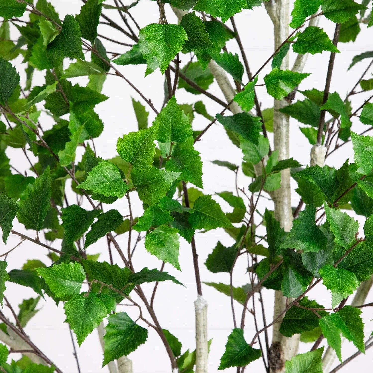 8’ Artificial Birch Tree Home Decor. Retail $434 gallery