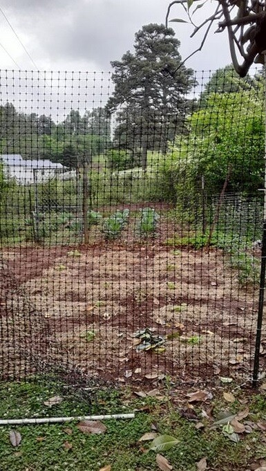 Virtually Invisible Deer Fence! Protect Your Garden, & More (8'x164') 140 GSM gallery
