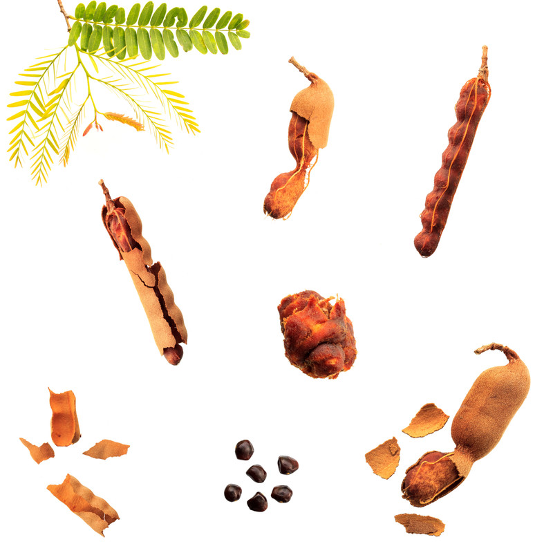 Organic Tamarind Pod - Unprocessed Fresh Whole Tamarind Pods - Bulk -Tamarindo gallery