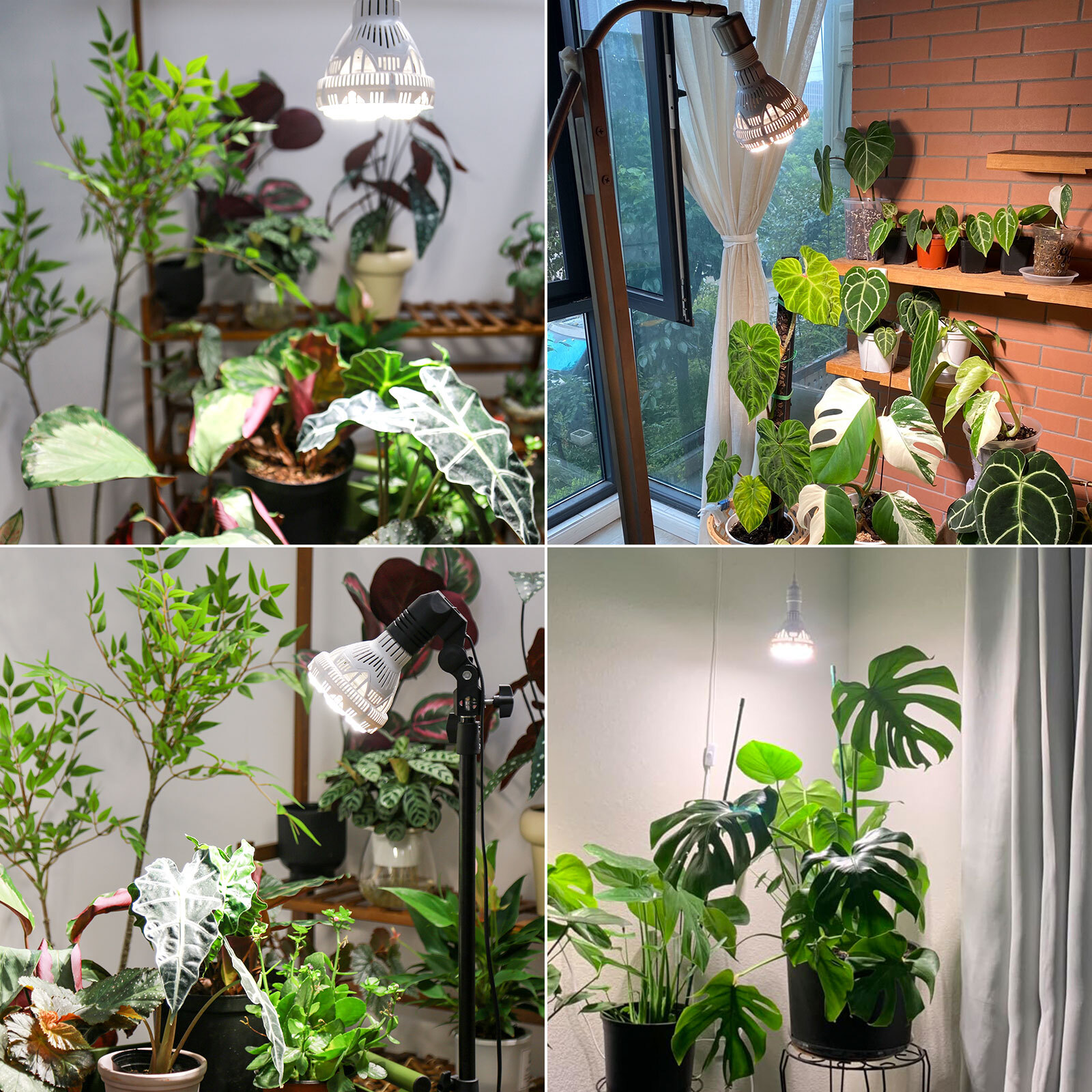 SANSI Full Spectrum LED Grow Light Dimmable Indoor Energy Efficient With Remote gallery