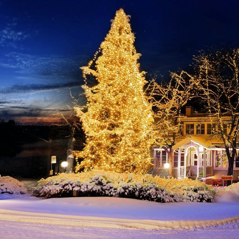 LED String Lights Tree Wedding Lamps Indoor Chasing Flash Outdoor Xmas Decor gallery