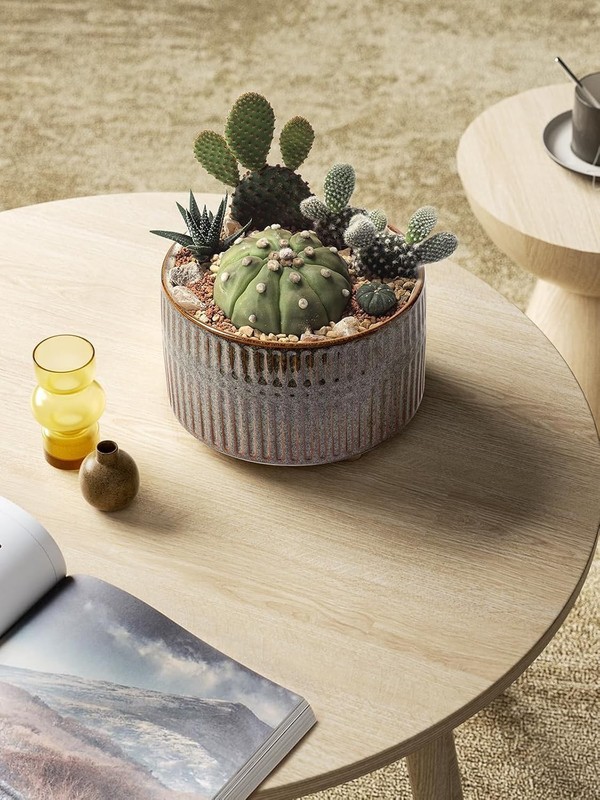 Modern Round Succulent Planters with Drainage Hole, Set of 2, 6.5 & 8 Inch gallery