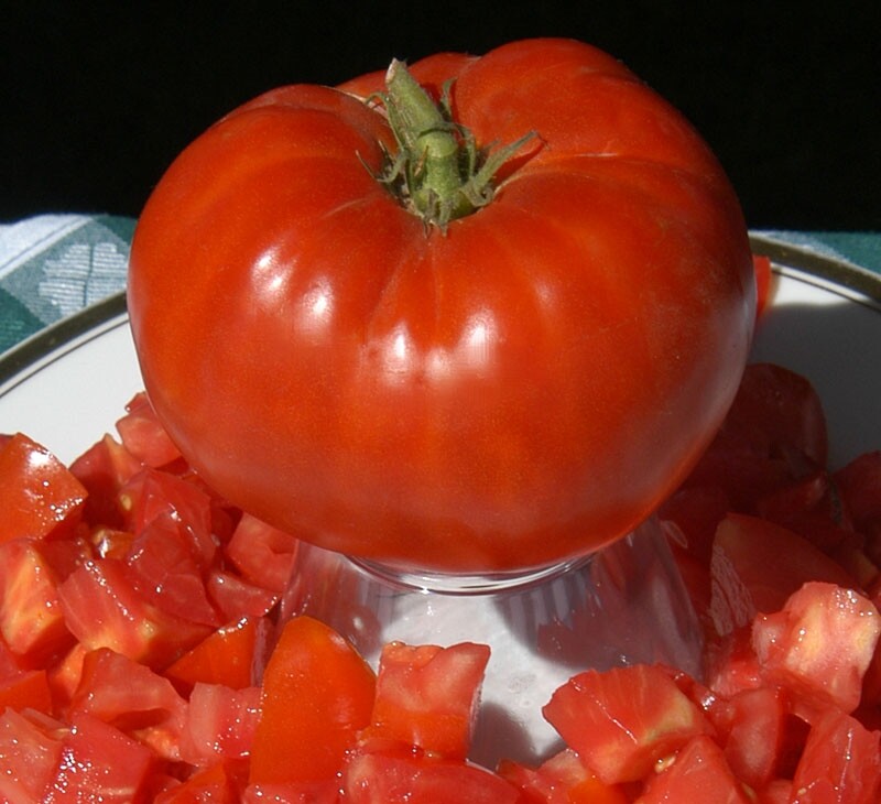 Delicious Tomato Seeds, NON-GMO, World Record Beefsteak, Heirloom, FREE SHIPPING gallery