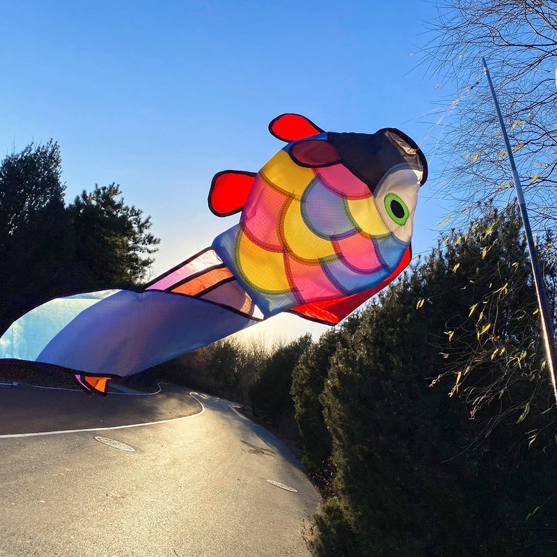 Rainbow Fish Windsock Spinner 32Inch Colorful Outdoor Decor gallery