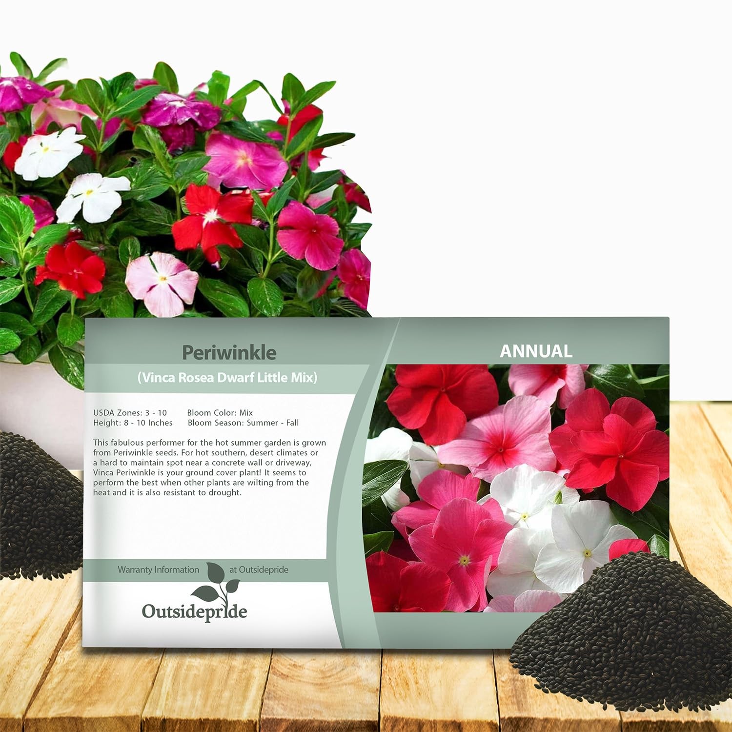 4000 Seeds Annual Vinca Periwinkle Ground Cover & Flower Seed Mix for Planting gallery