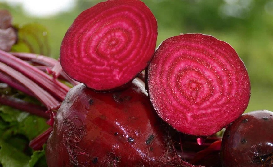 Detroit Dark Red Beet Seeds, NON-GMO , ORGANIC, HEIRLOOM - Free Shipping! gallery