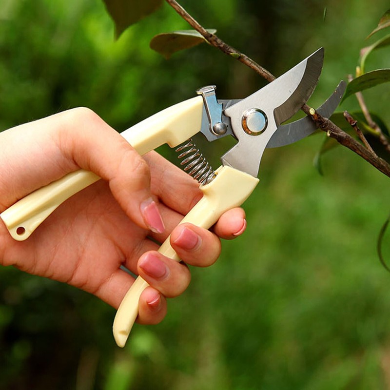 2 Pack Garden Pruning Shears Set Bypass Pruner Straight Blade Scissors USA gallery