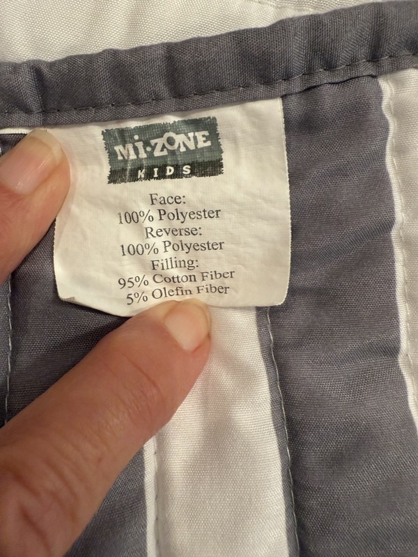 MiZone Kid’s Dinosaur/Reversible Full/Queen Comforter & 2 Shams Set gallery