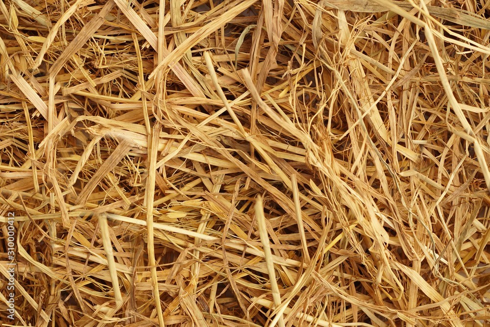 100% Natural Wheat Straw for Lawns, Gardens, & Bedding, (4 Lbs/1 Cubic Foot) gallery