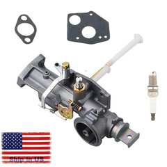 Carburetor for Briggs Stratton 299437 297599 135200 130200 100200 130201 130202