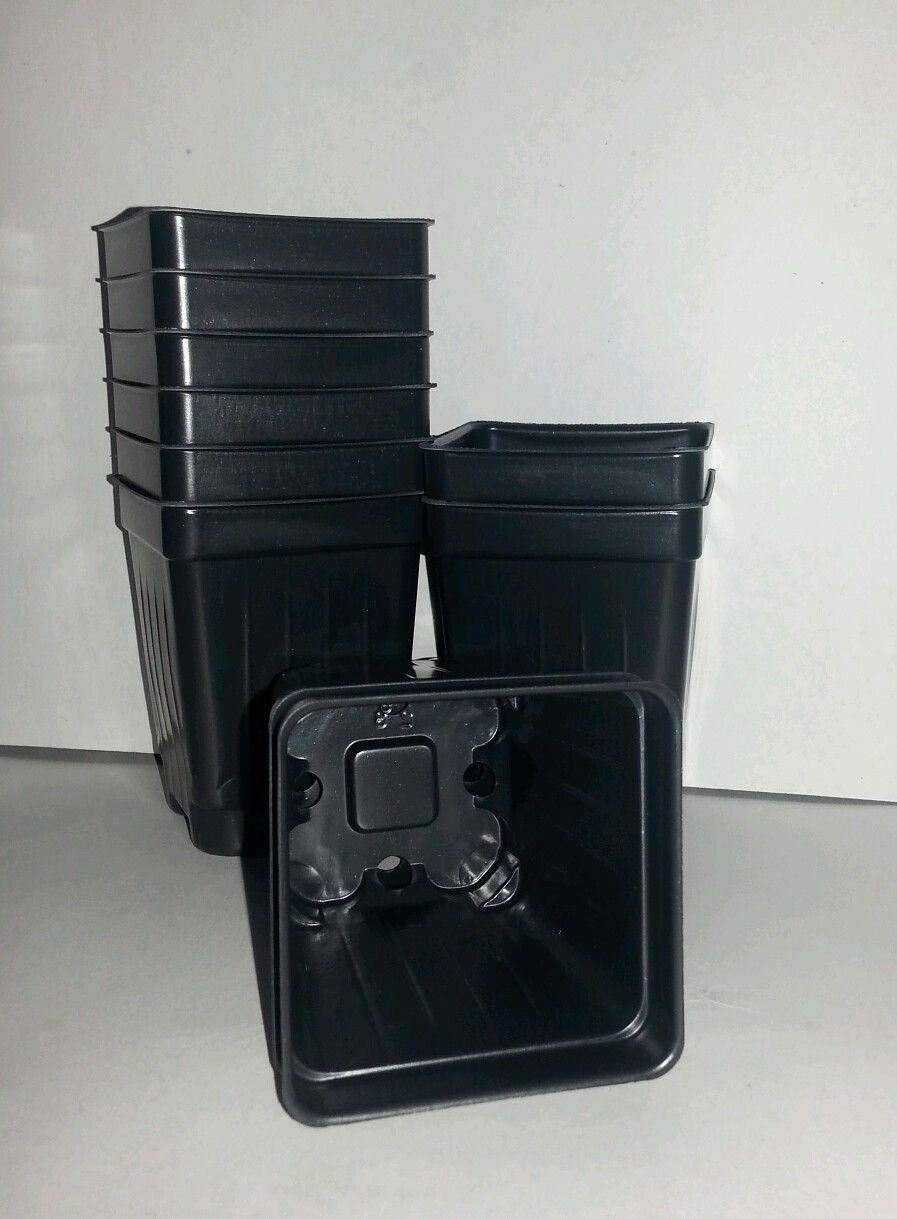 2.5 inch Square Deep Nursery Pot - SET OF 100 - {2.6" x 3.5"} plastic flower gallery
