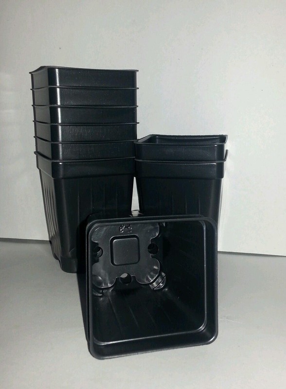 2.5 inch Square Deep Nursery Pot - SET OF 100 - {2.6" x 3.5"} plastic flower gallery