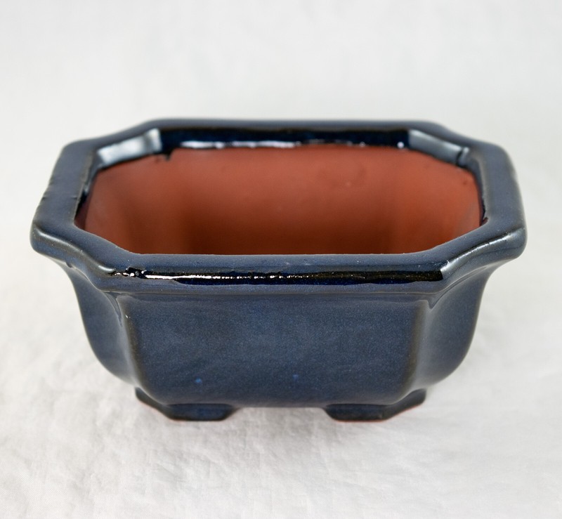 5" Rectangular Dark Blue Bonsai / Succulent Pot + Tray + Rock + Mesh Combo gallery