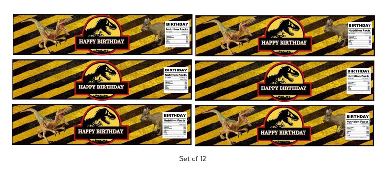 Dinosaur Theme Birthday Water Bottle Labels, Happy Birthday Design, 8.5x2 inches gallery