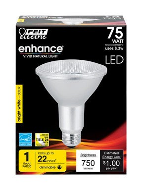 LED FEIT PAR30 75W EQ BW gallery
