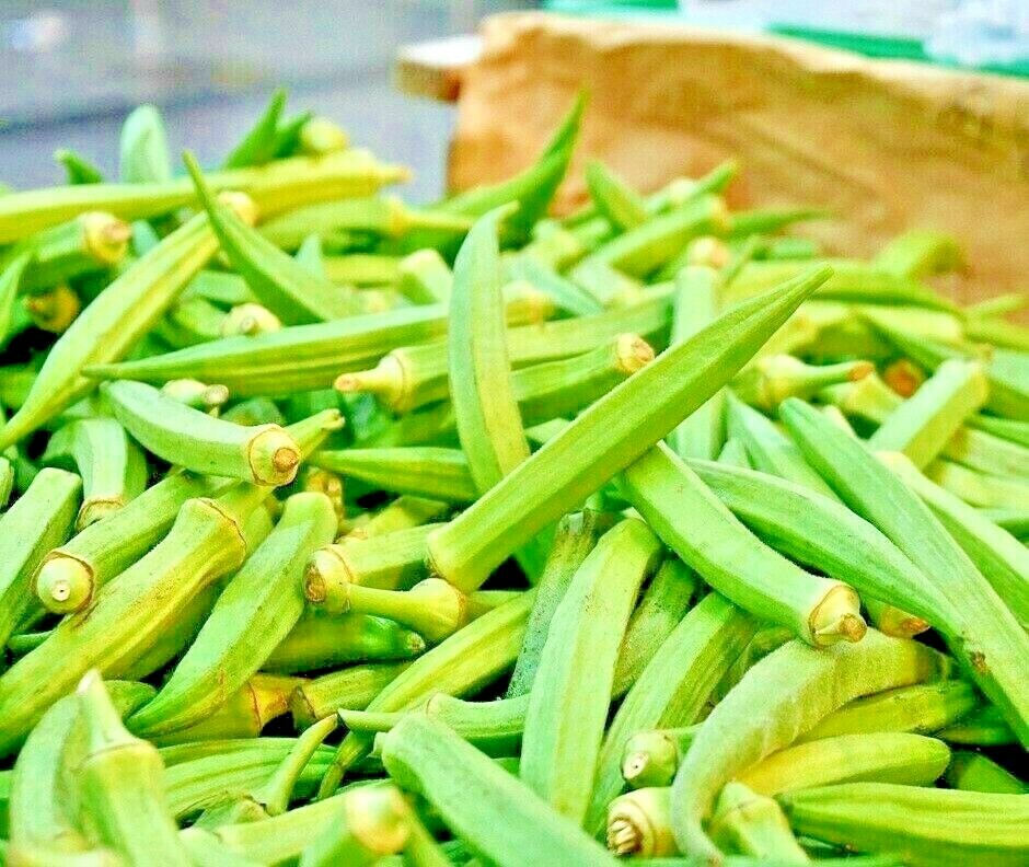 300 SEEDS OKRA CLEMSON GARDEN VEGETABLE HEIRLOOM ALL-AMERICAN WINNER NON-GMO USA gallery