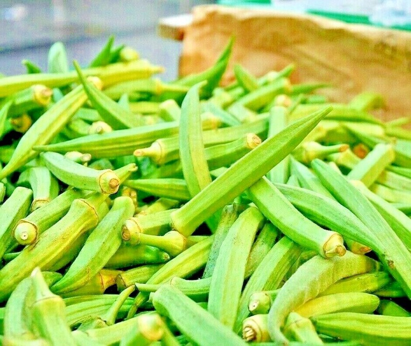 300 SEEDS OKRA CLEMSON GARDEN VEGETABLE HEIRLOOM ALL-AMERICAN WINNER NON-GMO USA gallery