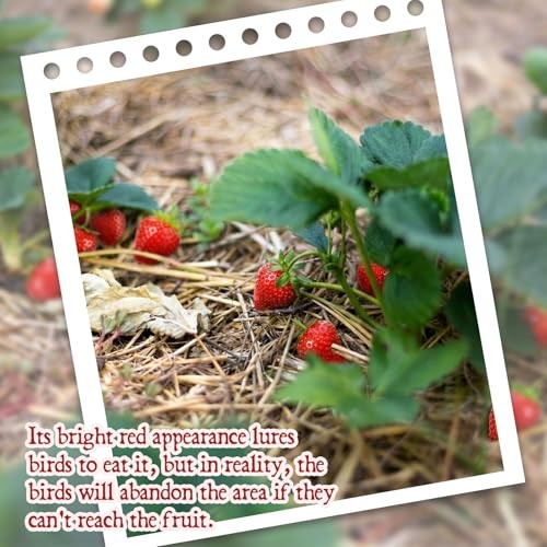 Pieces Artificial Strawberries for Bird Deterrence 24 Strawberry gallery